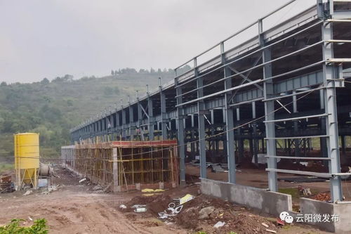 建房子还能像搭积木一样,拼好就行 不信你来看云阳这个产业园